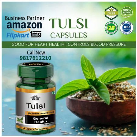 Cipzer Tulsi Capsule