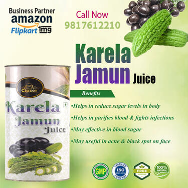 Cipzer Karela Jamun Juice