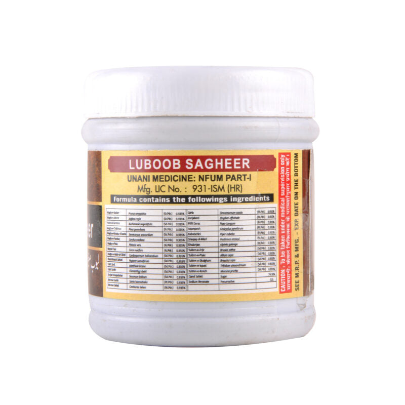 Cipzer Labub Sagheer