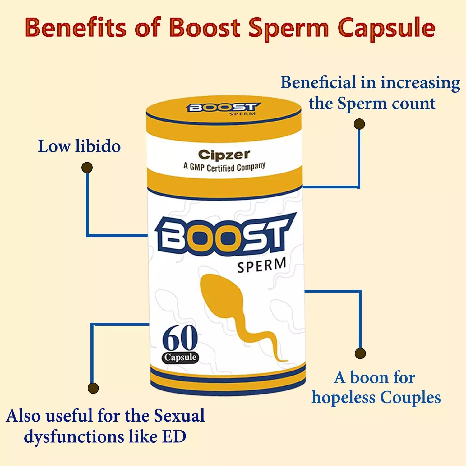 Cipzer Boost Sperm 60 Capsule - Increase Sperm Count CBSP Capsule 60